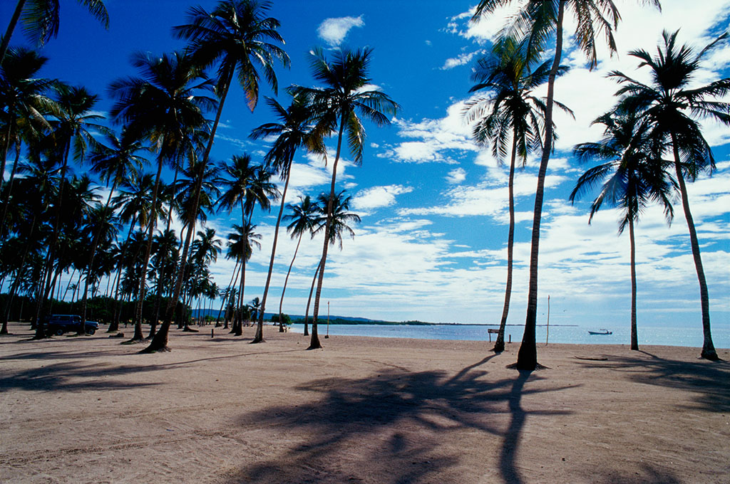 持巴西护照中国签证到期后怎样才能继续停留中